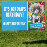 Cat In Party Cone Sign