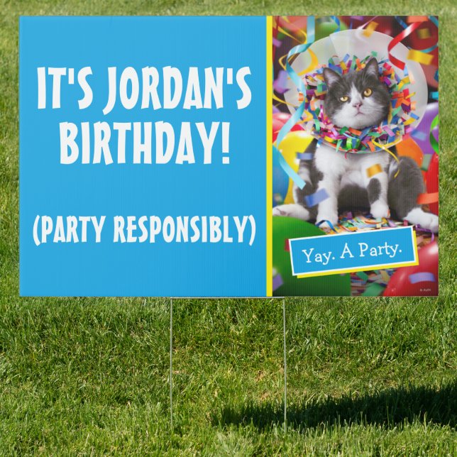 Cat In Party Cone Sign (Insitu)