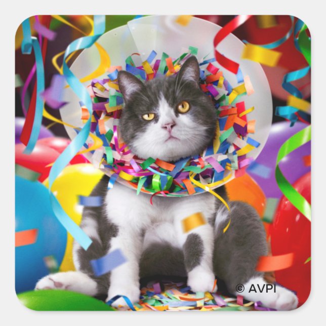 Cat In Party Cone Square Sticker (Front)