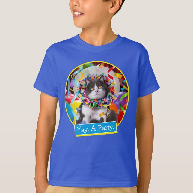 Cat In Party Cone T-Shirt (Front)