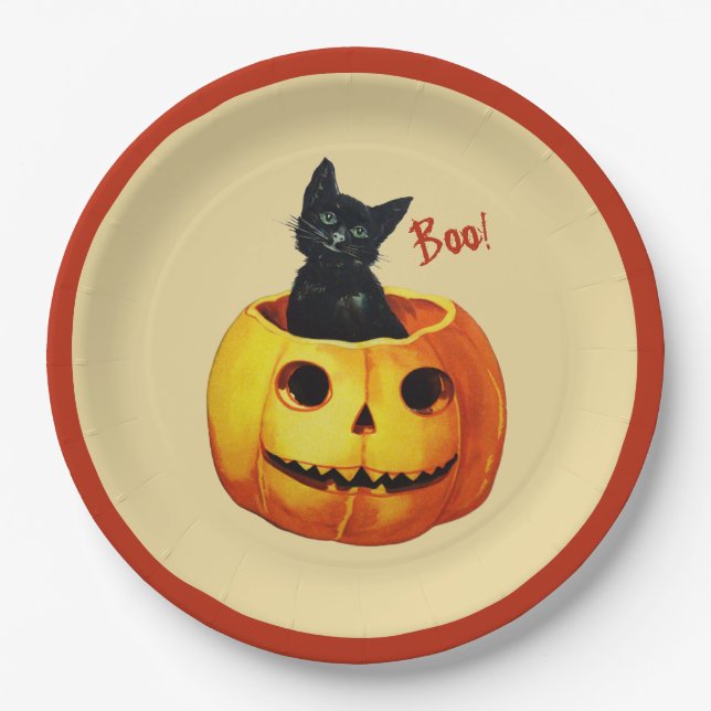 Cat in Pumpkin Halloween Paper Plates (Front)