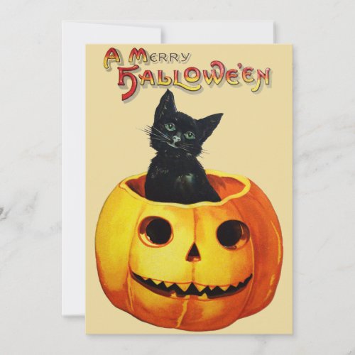 Cat in Pumpkin Halloween Party Invitation