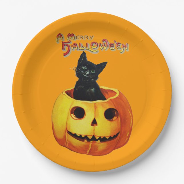 Cat in Pumpkin Halloween Plates (Front)