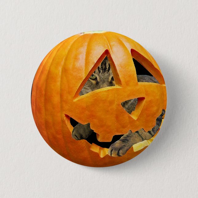 Cat in Pumpkin Pinback Button (Front)