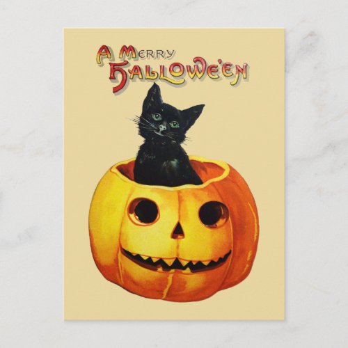 Cat in Pumpkin Vintage Halloween Postcard