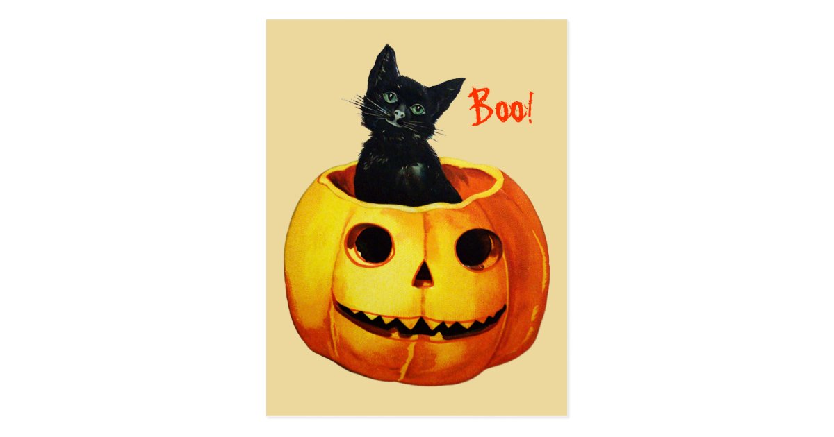 Cat in Pumpkin Vintage Halloween Postcard | Zazzle.com