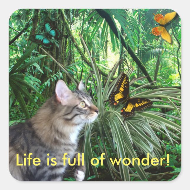 Cat in Rain Forest Stickers (Front)
