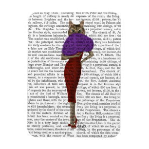 Cat In Red Dress Magnet