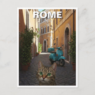 Cat in Rome Cobblestone street Italy Postcard
