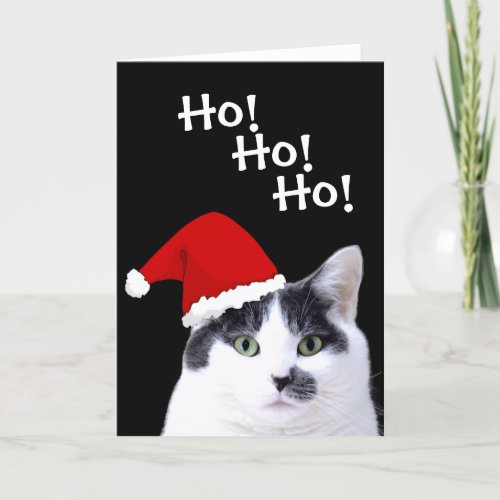 Cat in Santa Hat Christmas Holiday Card