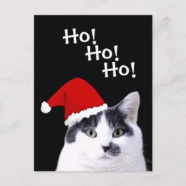 Cat in Santa Hat Holiday Postcard (Front)