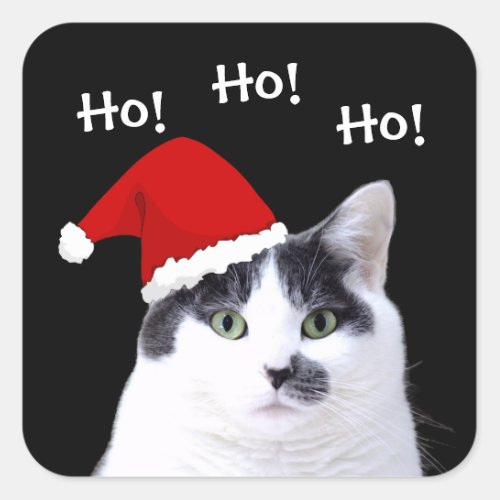 Cat in Santa Hat Square Sticker