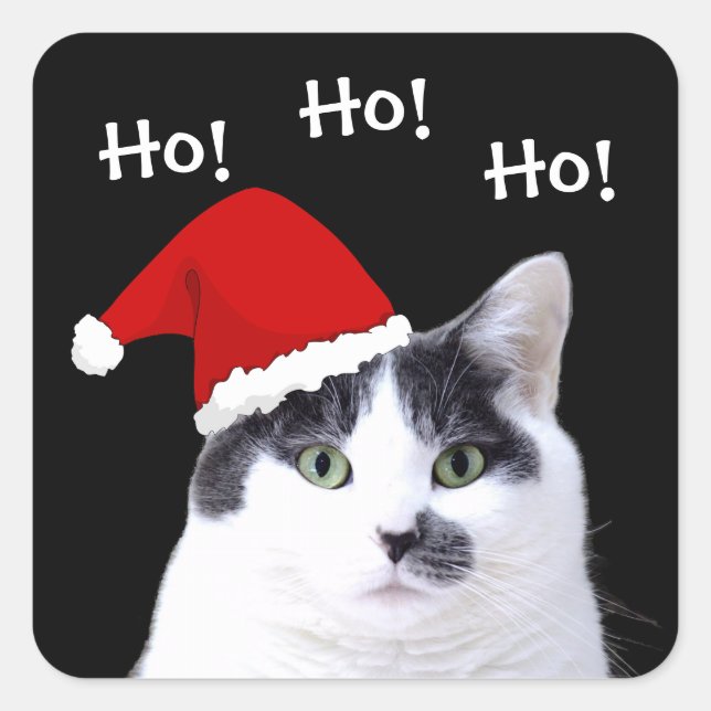 Cat in Santa Hat Square Sticker (Front)