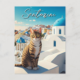 Cat in Santorini Greece Cyclades Travel Postcard