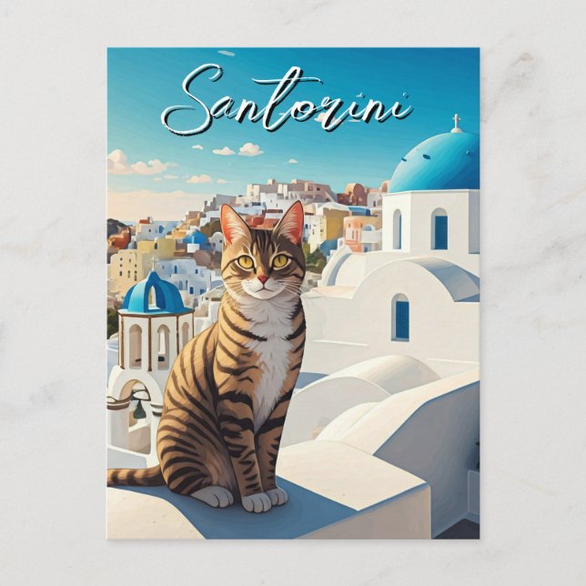 Cat in Santorini Greece Cyclades Travel Postcard (Front)