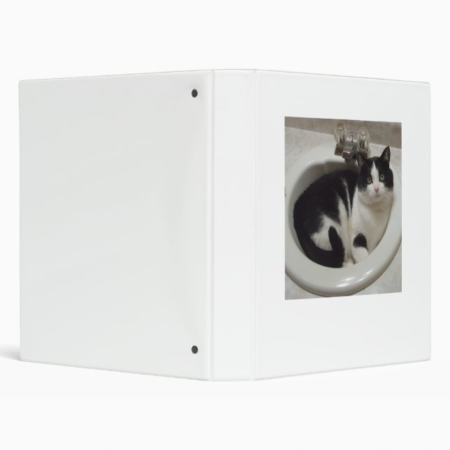 Cat in sink binder (Background)