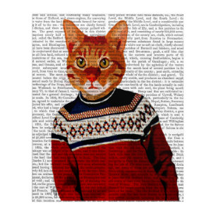 Cat in Ski Sweater Acrylic Print