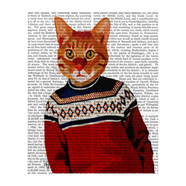 Cat in Ski Sweater Acrylic Print (Front)