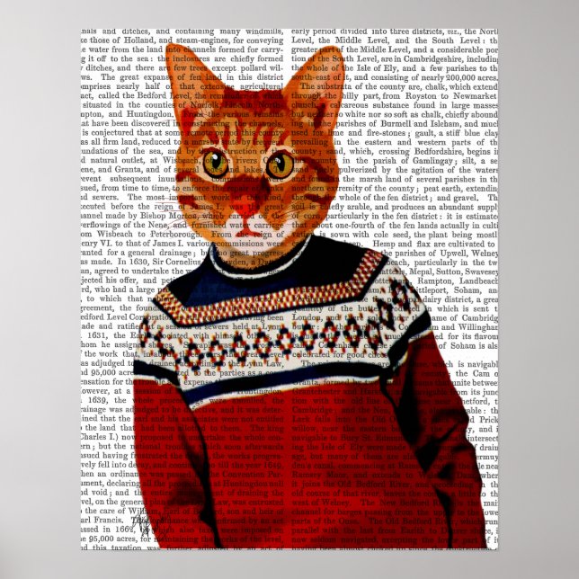 Cat in Ski Sweater Poster (Front)