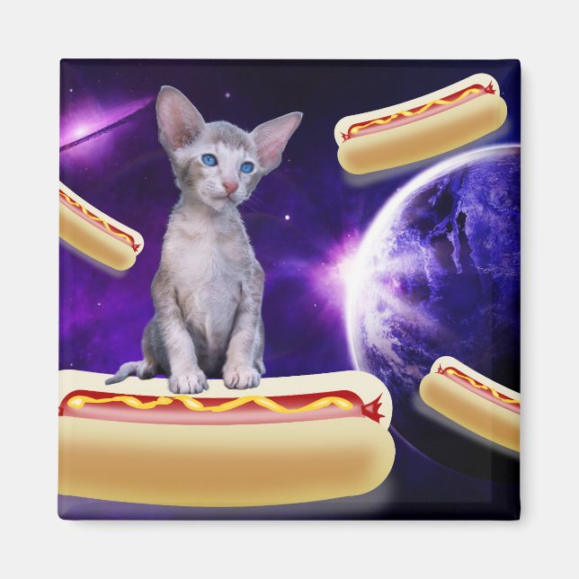 CAT IN SPACE WITH HOT DOGS MAGNET (Front)