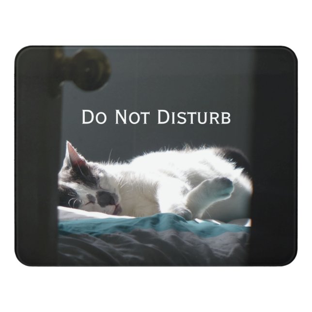 Cat in Sunspot Do Not Disturb Door Sign (Contemporary Front)