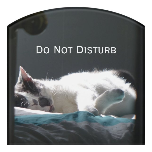 Cat in Sunspot Do Not Disturb Door Sign (Contour Front)