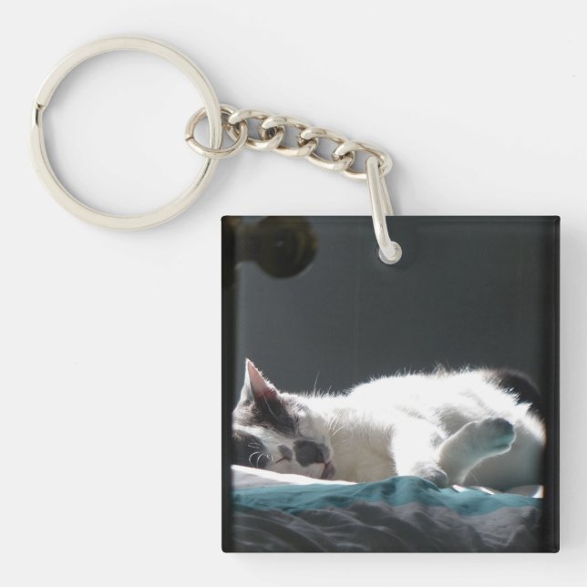 Cat in Sunspot Do Not Disturb Keychain (Front)