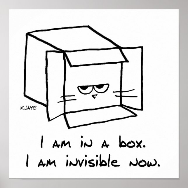 Cat in the Box - Funny Cat Poster (Front)