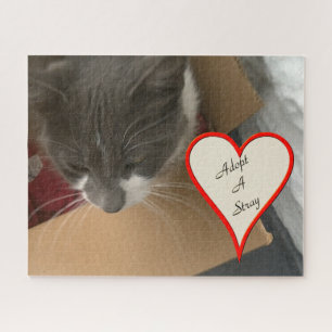 Cat in the Box Jigsaw Puzzle