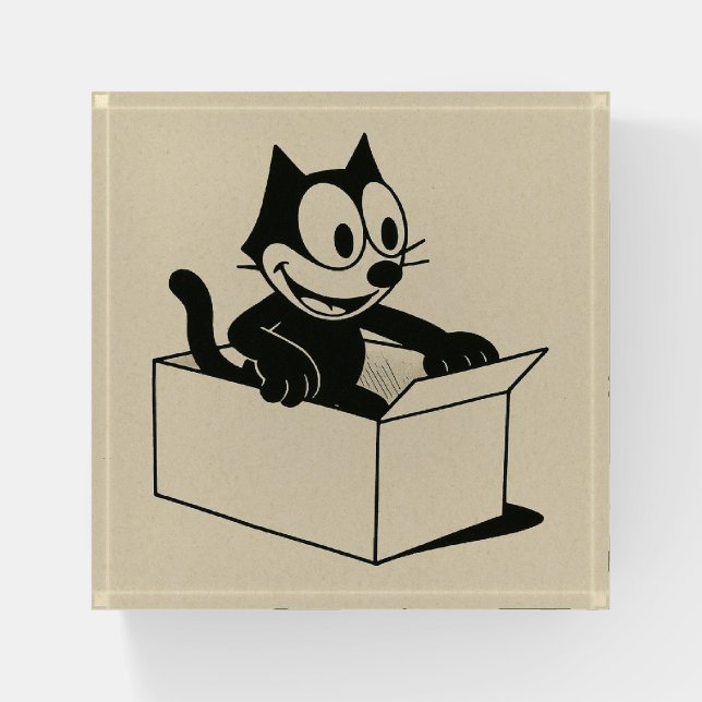 Cat In The Box Paperweight (Front)