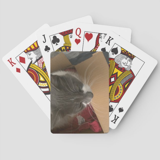 Cat in the Box Poker Cards (Back)
