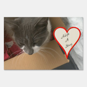 Cat in the Box Sign