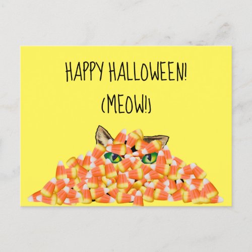 Cat in the Candy Corn Funny Halloween Postcard