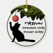 Cat in the Christmas Tree Funny Personalized