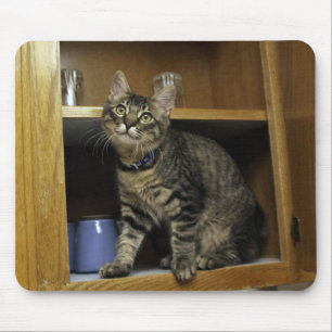 Cat in the Cupboard Mousepad