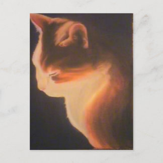 Cat in the dark postcard