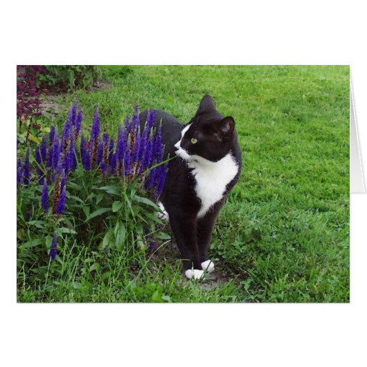 Cat in the Garden Cards (Front Horizontal)
