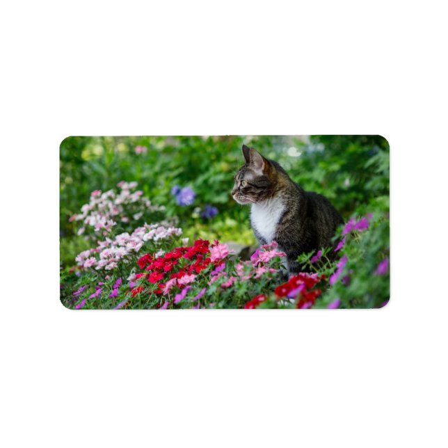 Cat in the Garden Label (Front)