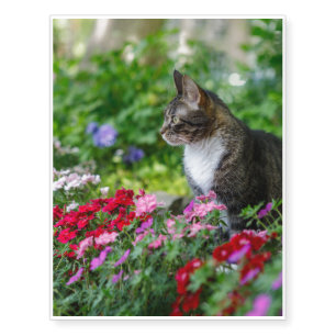 Cat in the Garden Temporary Tattoos