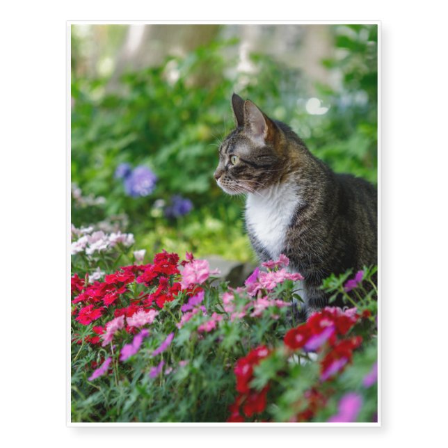 Cat in the Garden Temporary Tattoos (Front)