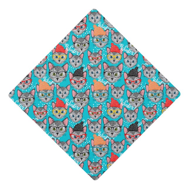 Cat in the hat (Front)