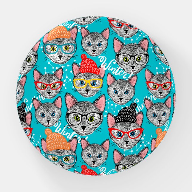 Cat in the hat paperweight (Front)