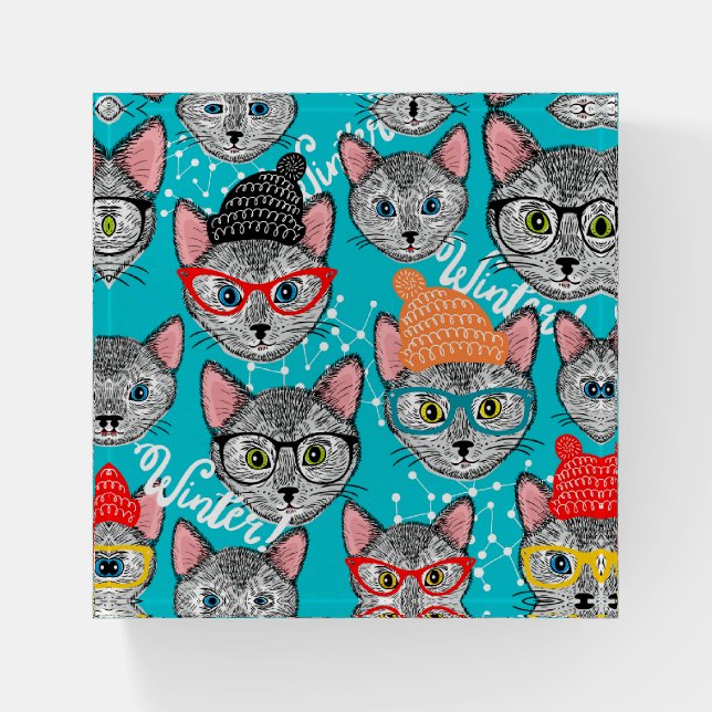 Cat in the hat paperweight (Front)