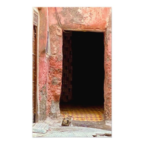 Cat in the Medina _ Marrakech Morocco Photo Print