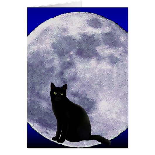 Cat in the Moon_ (Front)