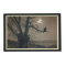 "Cat in the Moonlight" Art Nouveau Print