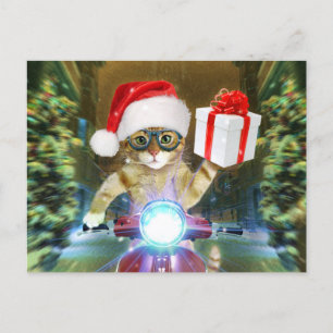 Cat in the Santa Claus hat delivers Christmas gift Postcard