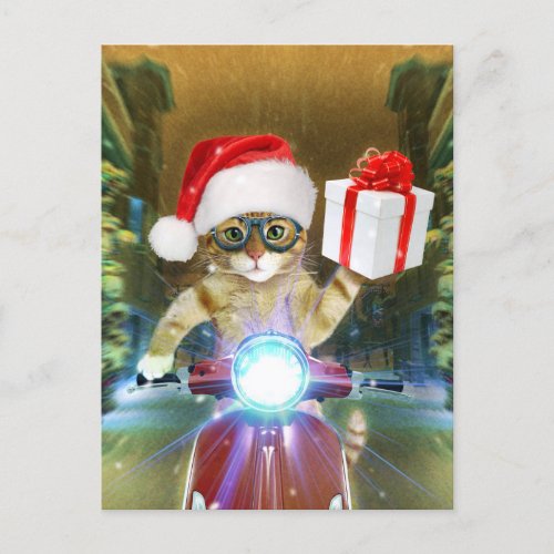 Cat in the Santa Claus hat delivers Christmas gift Postcard