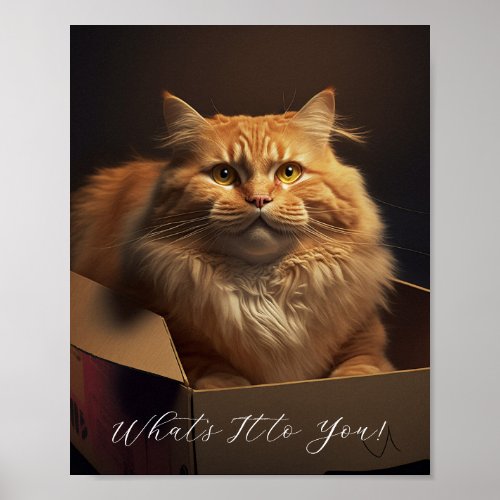 Cat In The Shoe Box _ Sarcastic Cat Poster