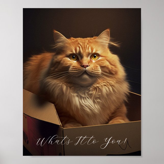Cat In The Shoe Box - Sarcastic Cat Poster (Front)